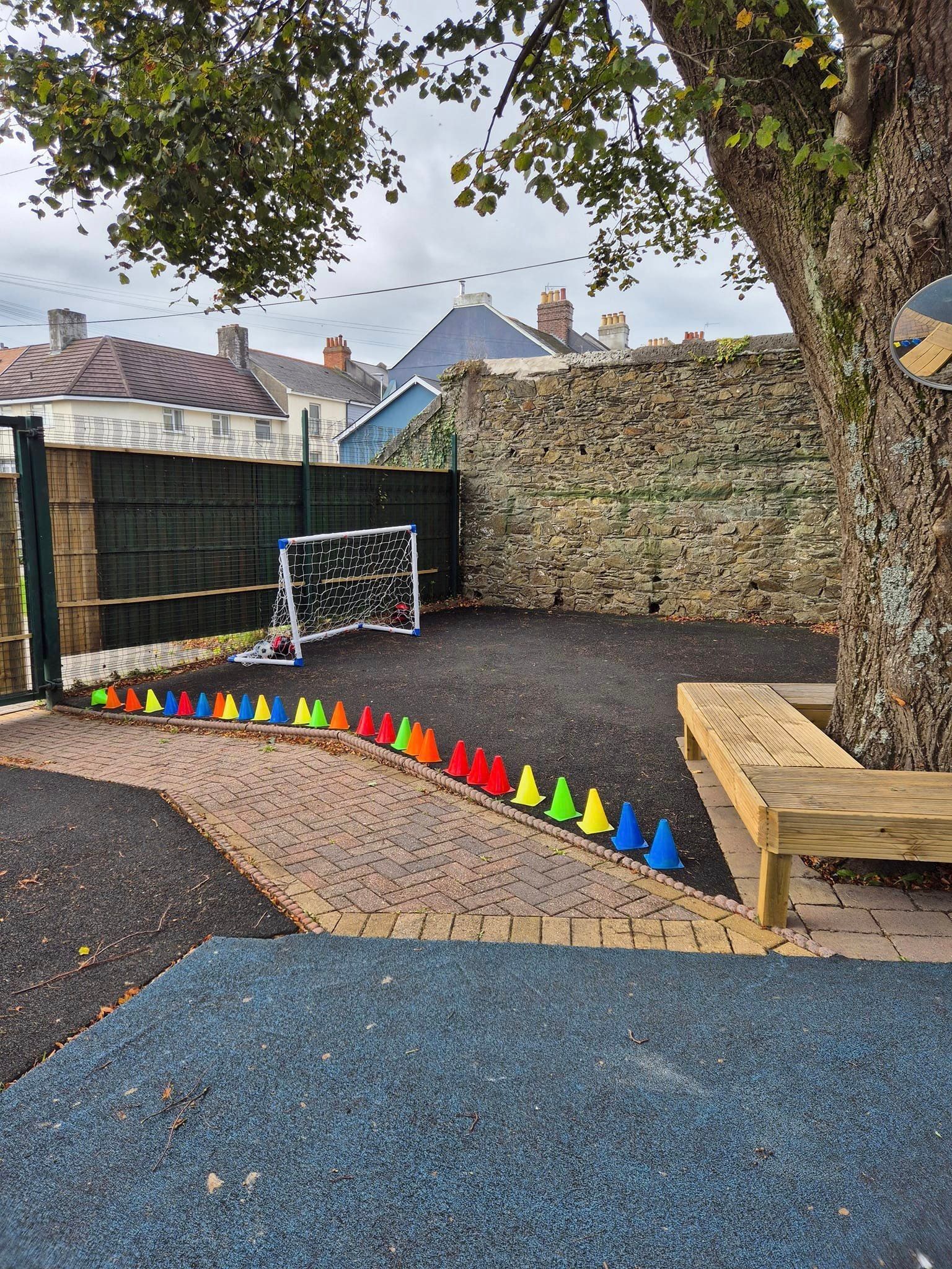 A row of colourful cones are lined up in a playground next to a tree.