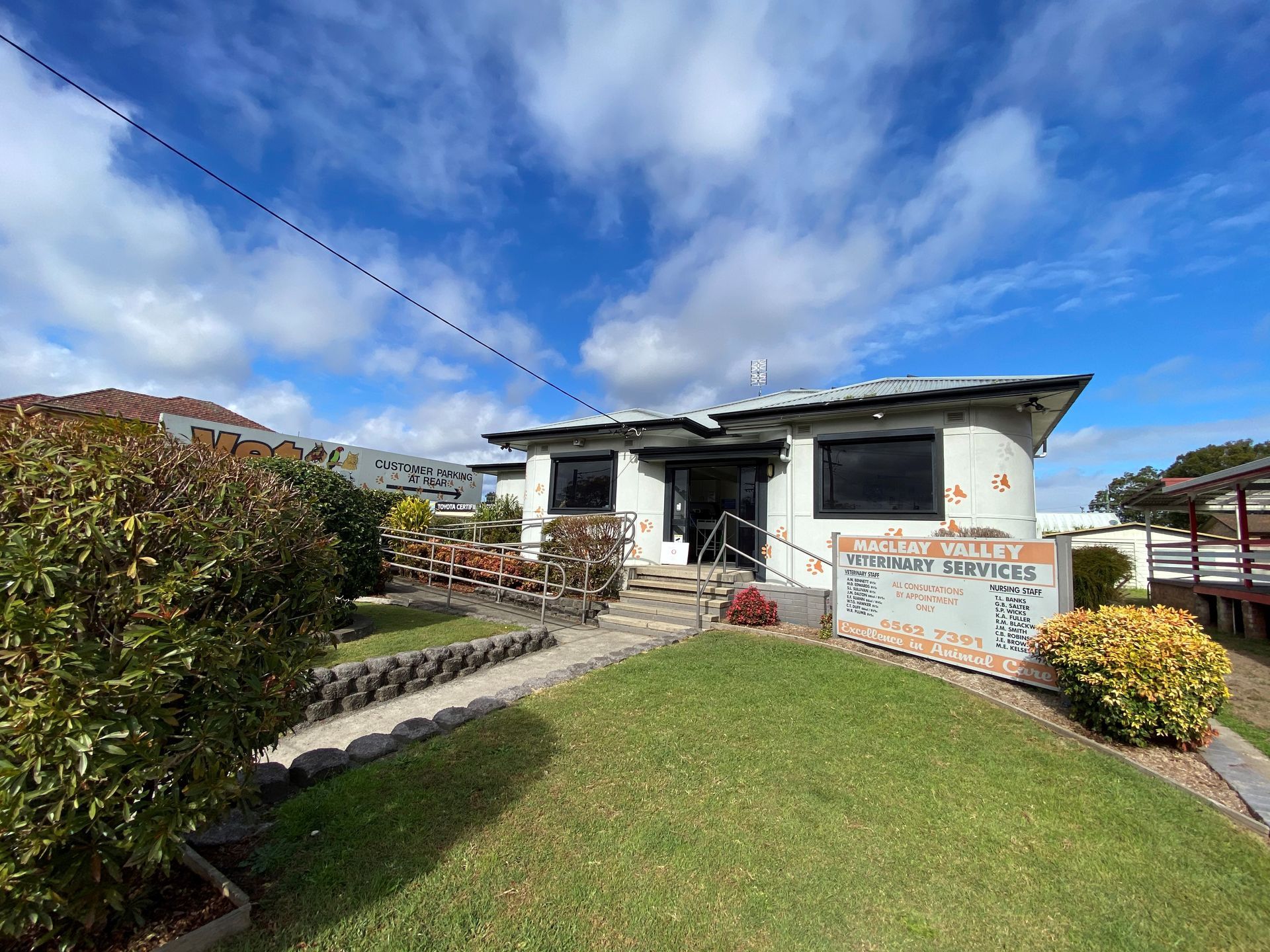 Veterinarian Checking The Dog Golden Retriever In Clinic — Vet Macleay Valley, NSW