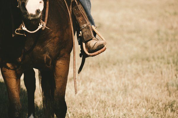 Cowboy Boot in Stirrup during Horse back Ride — Horse Breeding Mid North Coast