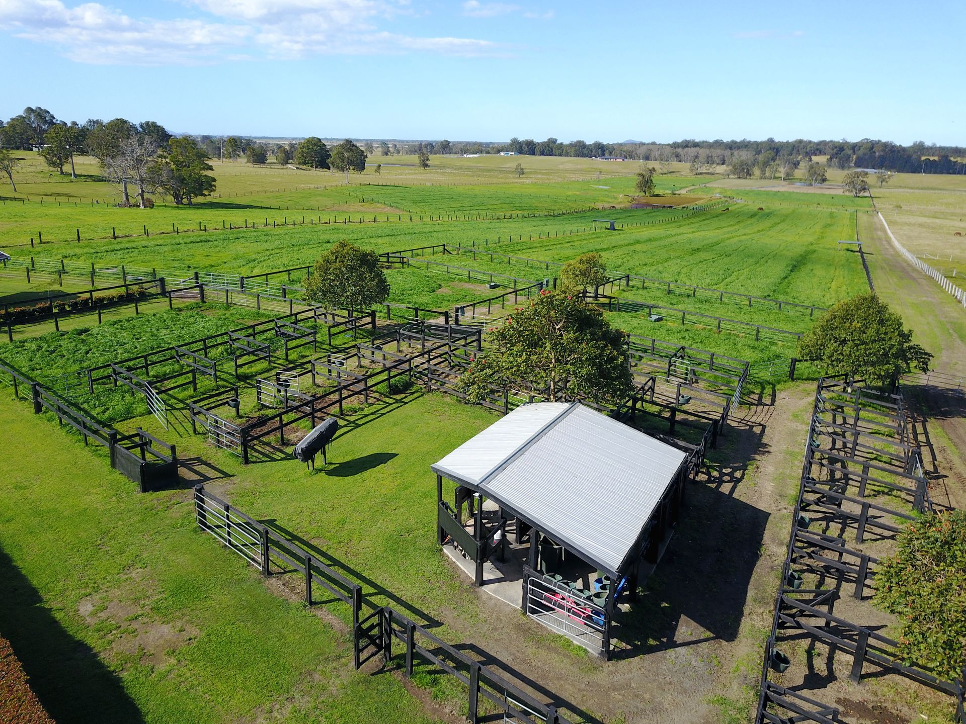 Mid North Coast Equine Reproduction Centre — Vet Near Me in Australia