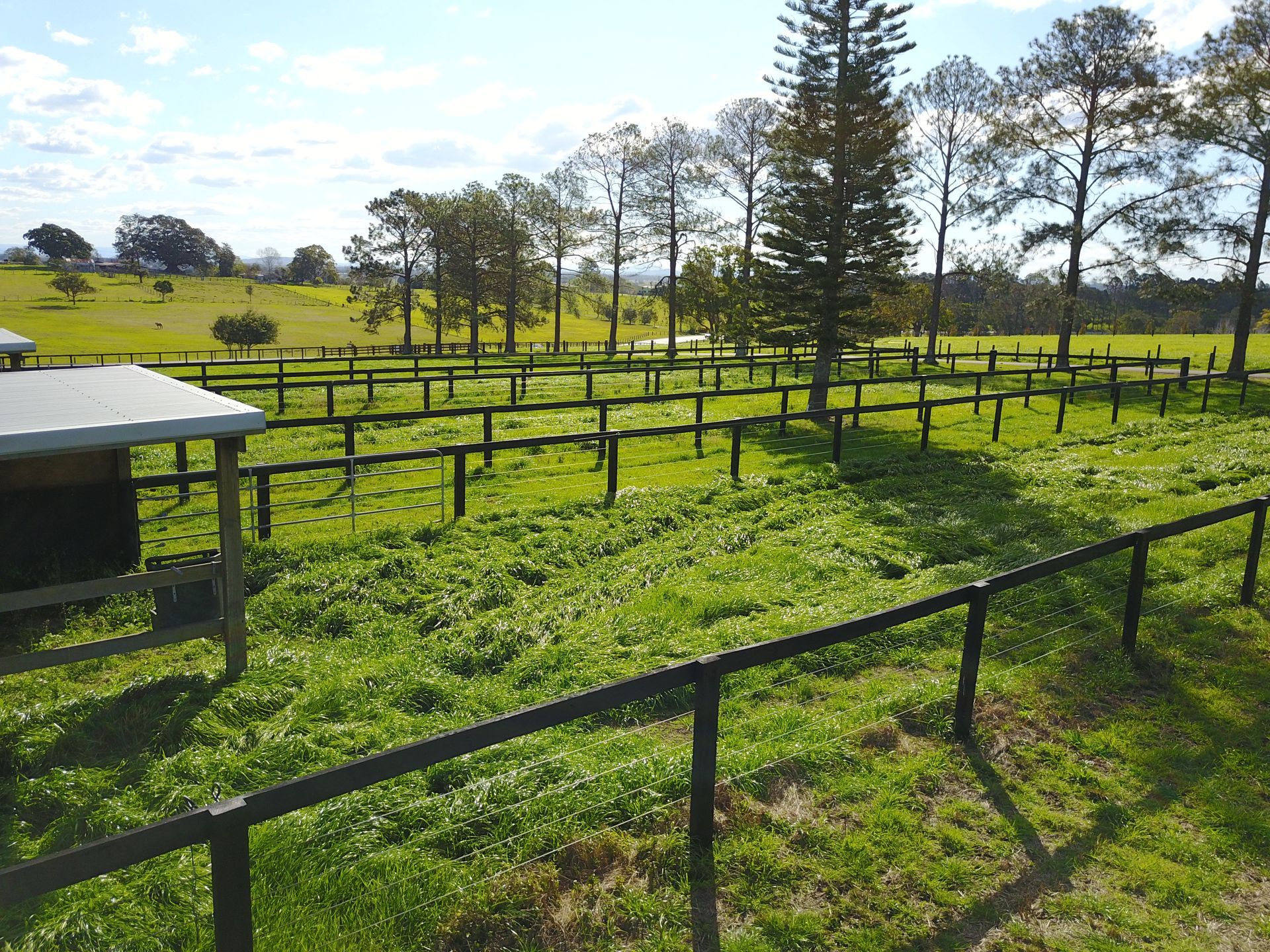View in the Ranch — Horse Insemination Kempsey, NSW
