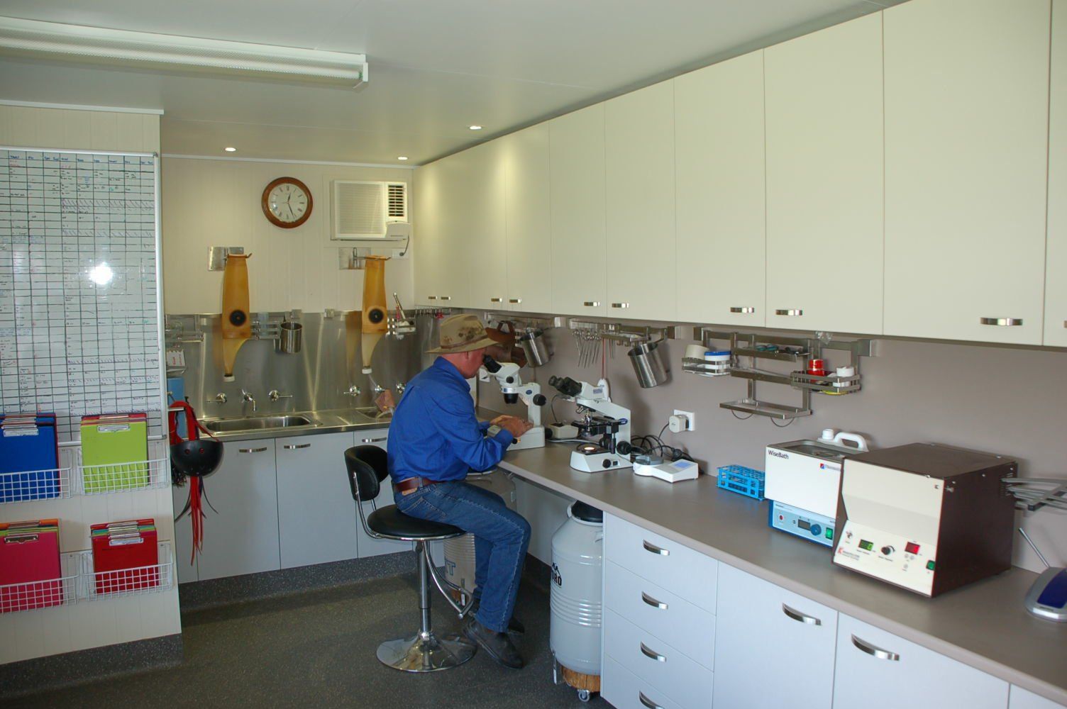 Man Working in the Laboratory — Horse Embryo Transfer Kempsey, NSW