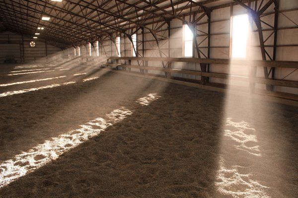 Dusty Window Sun Rays — Horse Breeding Mid North Coast