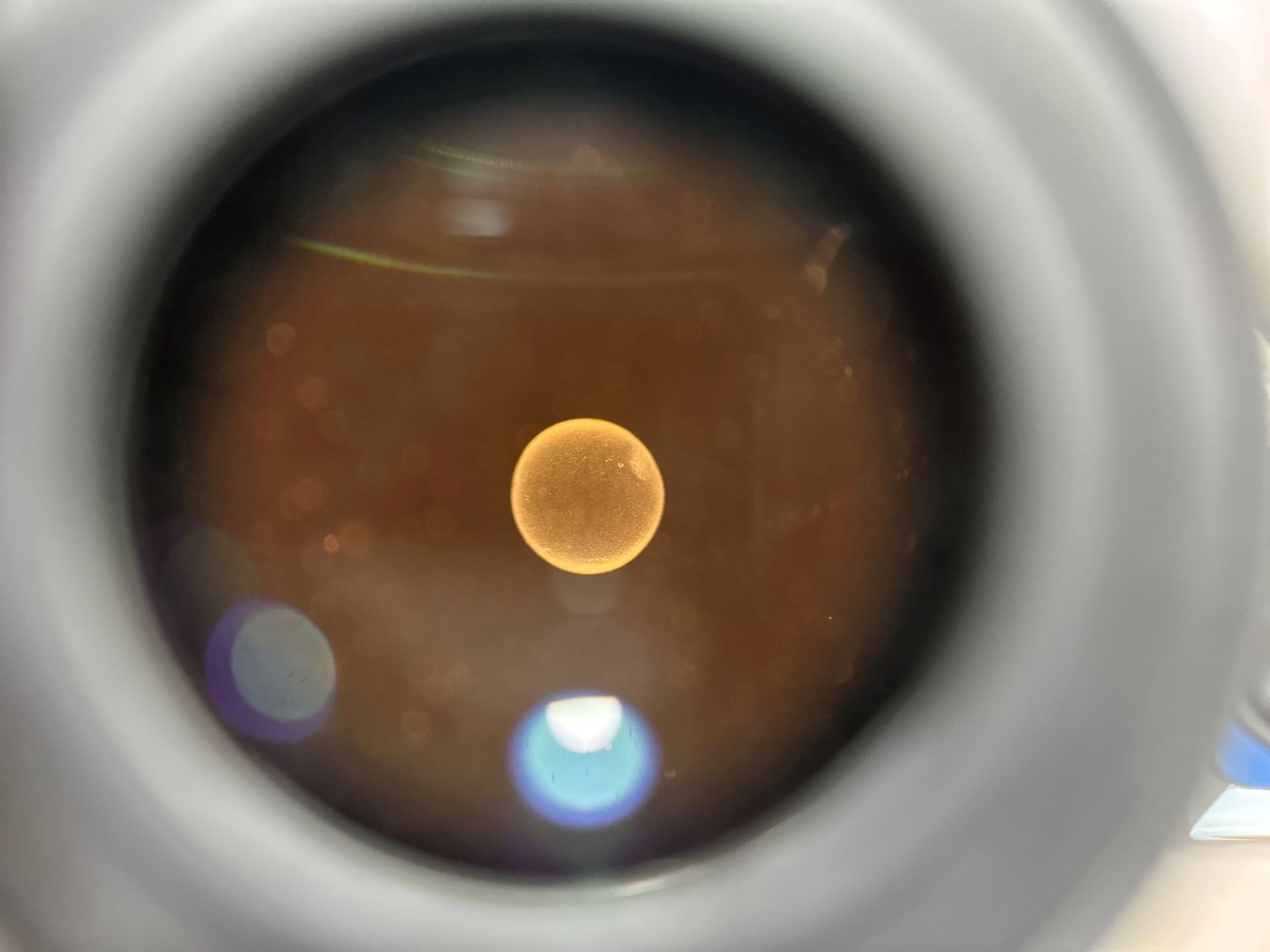 Micro Scope View — Horse Embryo Transfer Kempsey, NSW