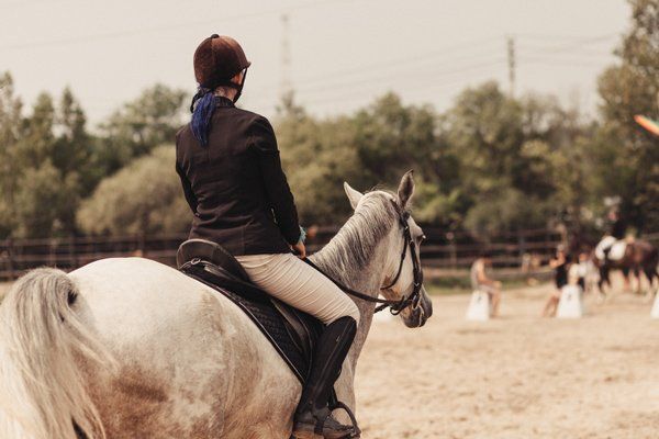 Equestrian Competitions Riding a Horse — Equine Vet Kempsey, NSW