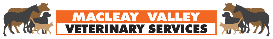 Macleay Valley Veterinary Services—Visit Our Veterinary Clinic in Kempsey