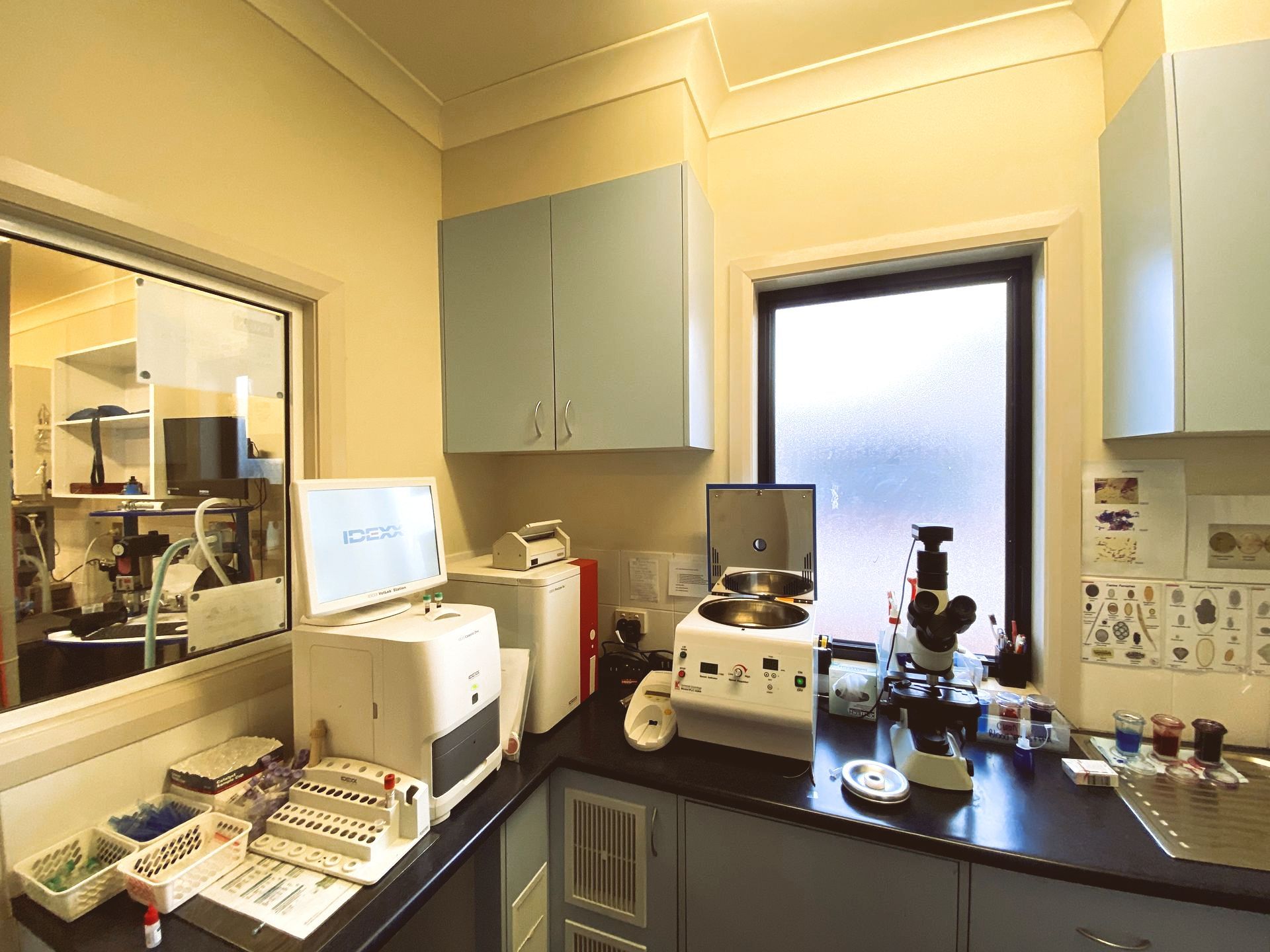 Cow Veterinarian — Macleay Valley Veterinary Services