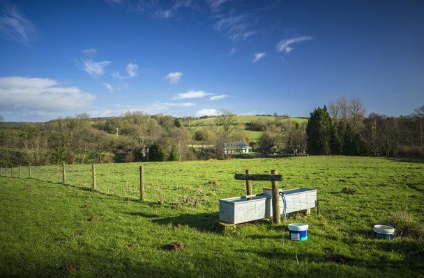 Water Trough for Cattle — Vet South West Rocks