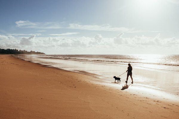 Woman Walking with a Dog on Beach at Sunrise — Vet Kempsey, NSW
