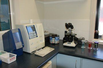 Micro scope and Machines — Vet Hospital Kempsey , NSW