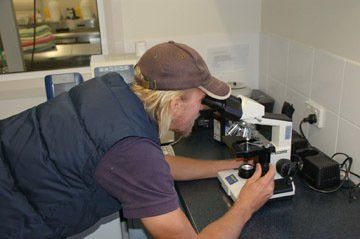 Man using Micro scoping — Vet Hospital Kempsey , NSW