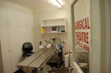 Surgery Room — Vet Hospital Kempsey , NSW