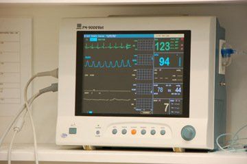 Medical Monitor — Vet Hospital Kempsey , NSW