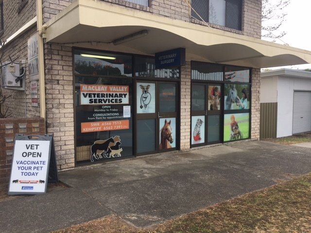 Southwest Rocks Branch Clinic — Vet Near Me in Australia