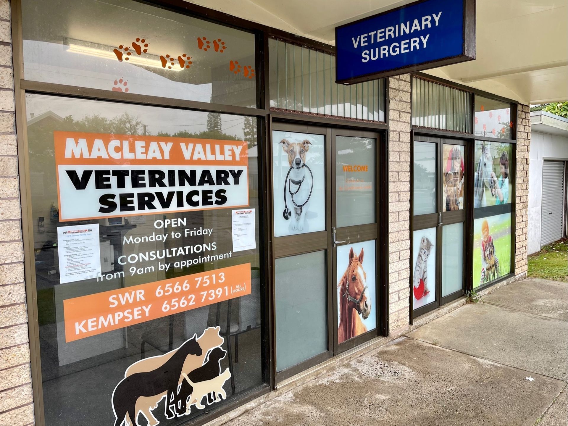Four Cute Little Puppies — Vet South West Rocks, NSW