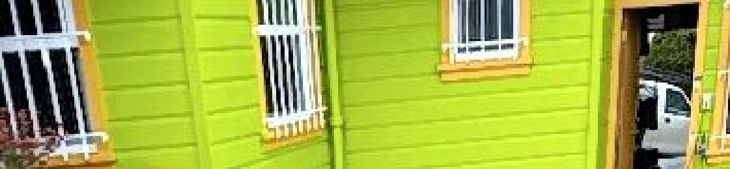 A green house with white windows and a yellow door.