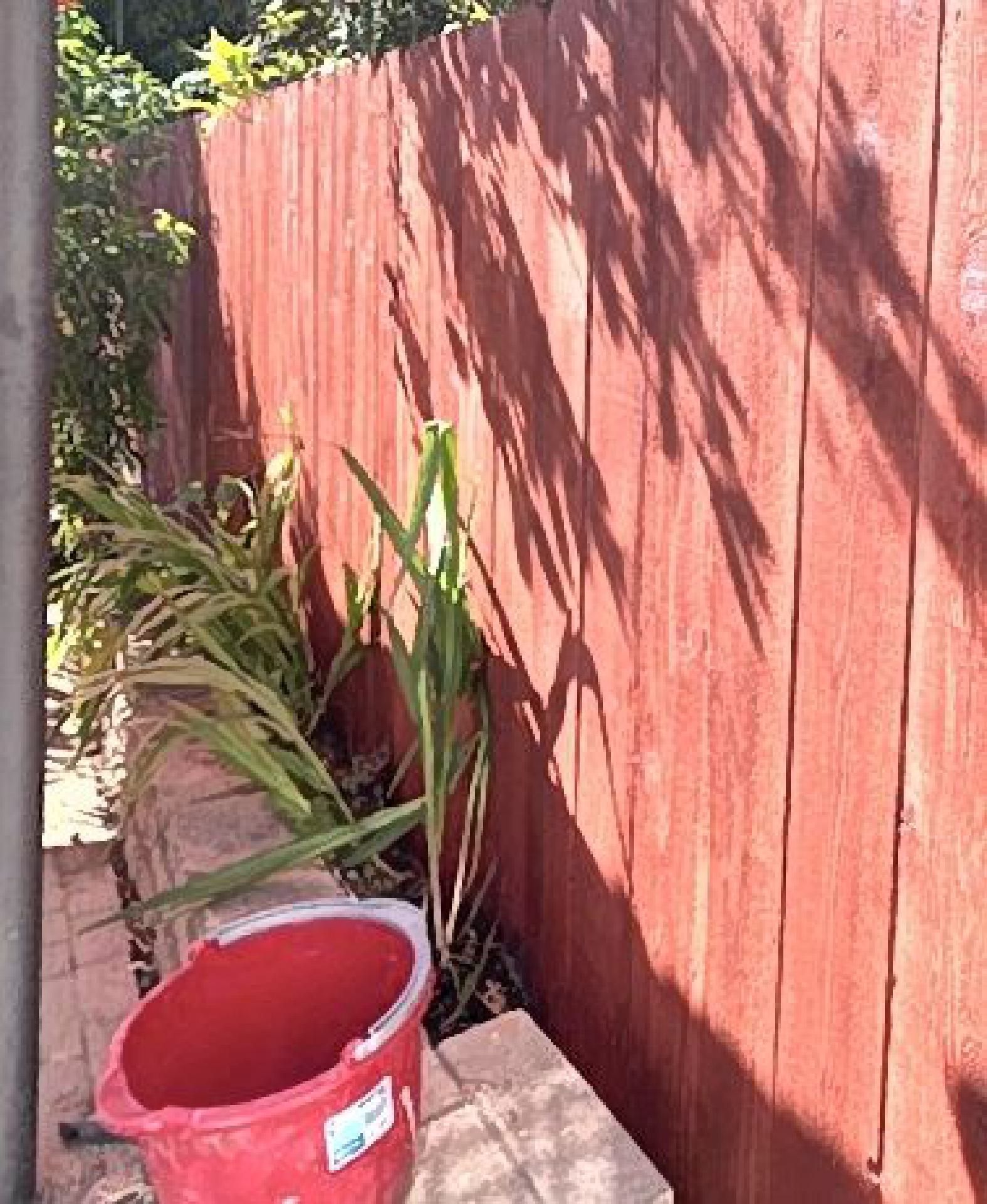 A red bucket is sitting next to a wooden fence.