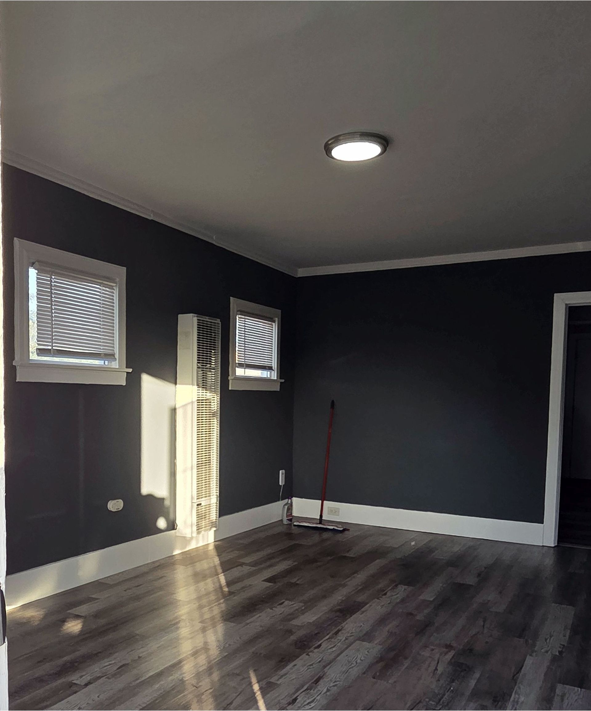 A living room with dark walls and wooden floors