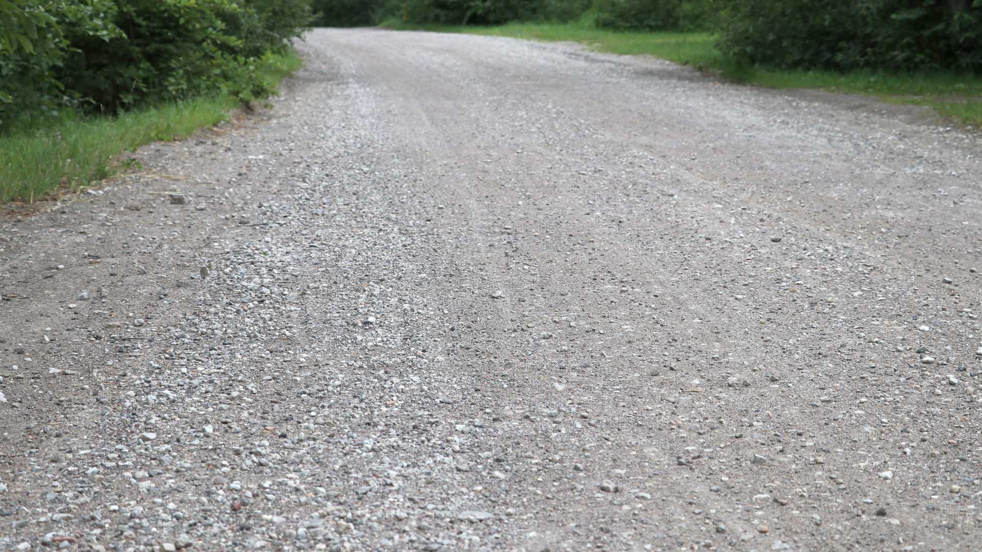 Gravel road, extending into the distance, with green foliage on either side.