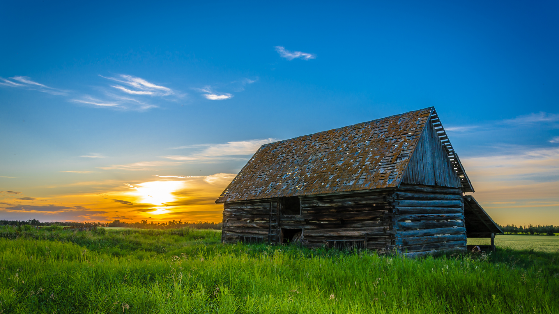 Old wooden barn in a grassy field at sunset, with a blue sky and golden sun.