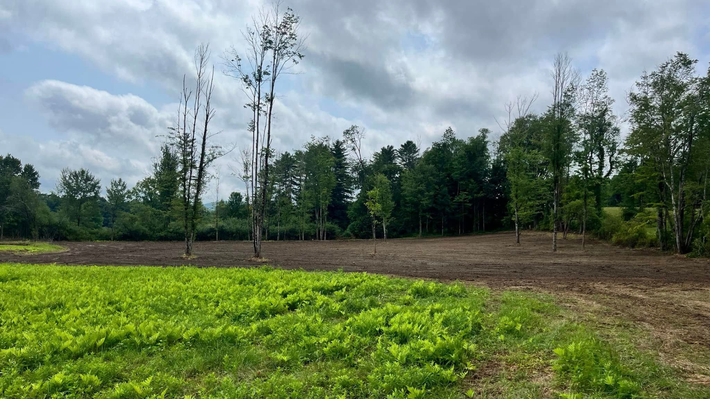 Green field in foreground, dirt patch, trees in the background under a cloudy sky.