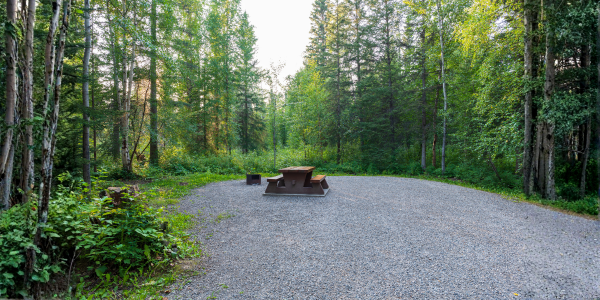 A light-colored building with a green-domed clock tower against a clear blue sky, with trees in the foreground.