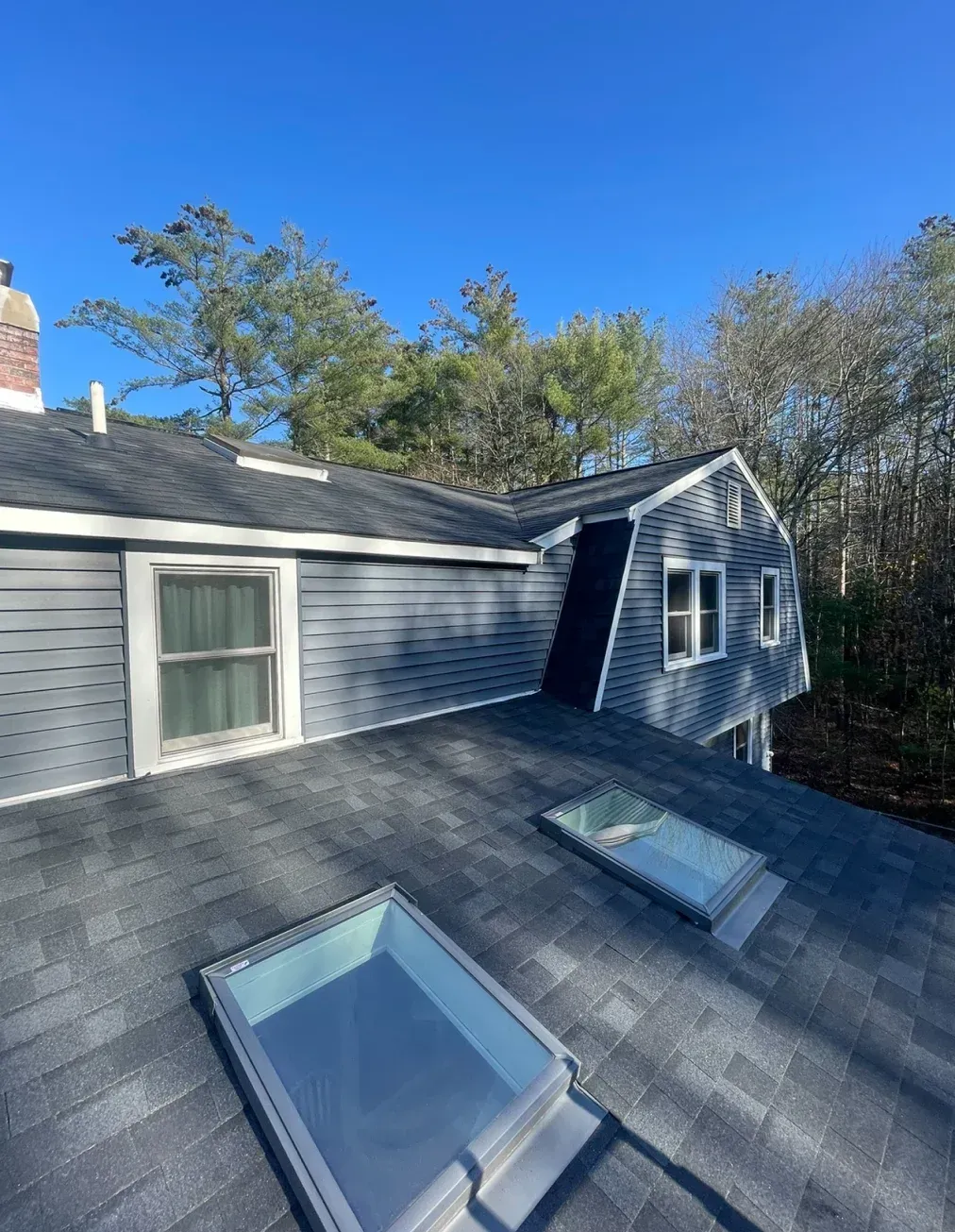 View from a rooftop with gray shingles, skylights, and blue siding. A blue sky and trees are visible in the background.