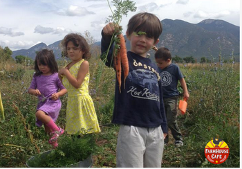 Farm House Restaurant In Taos Sources Produce From Over 20 Local Farms