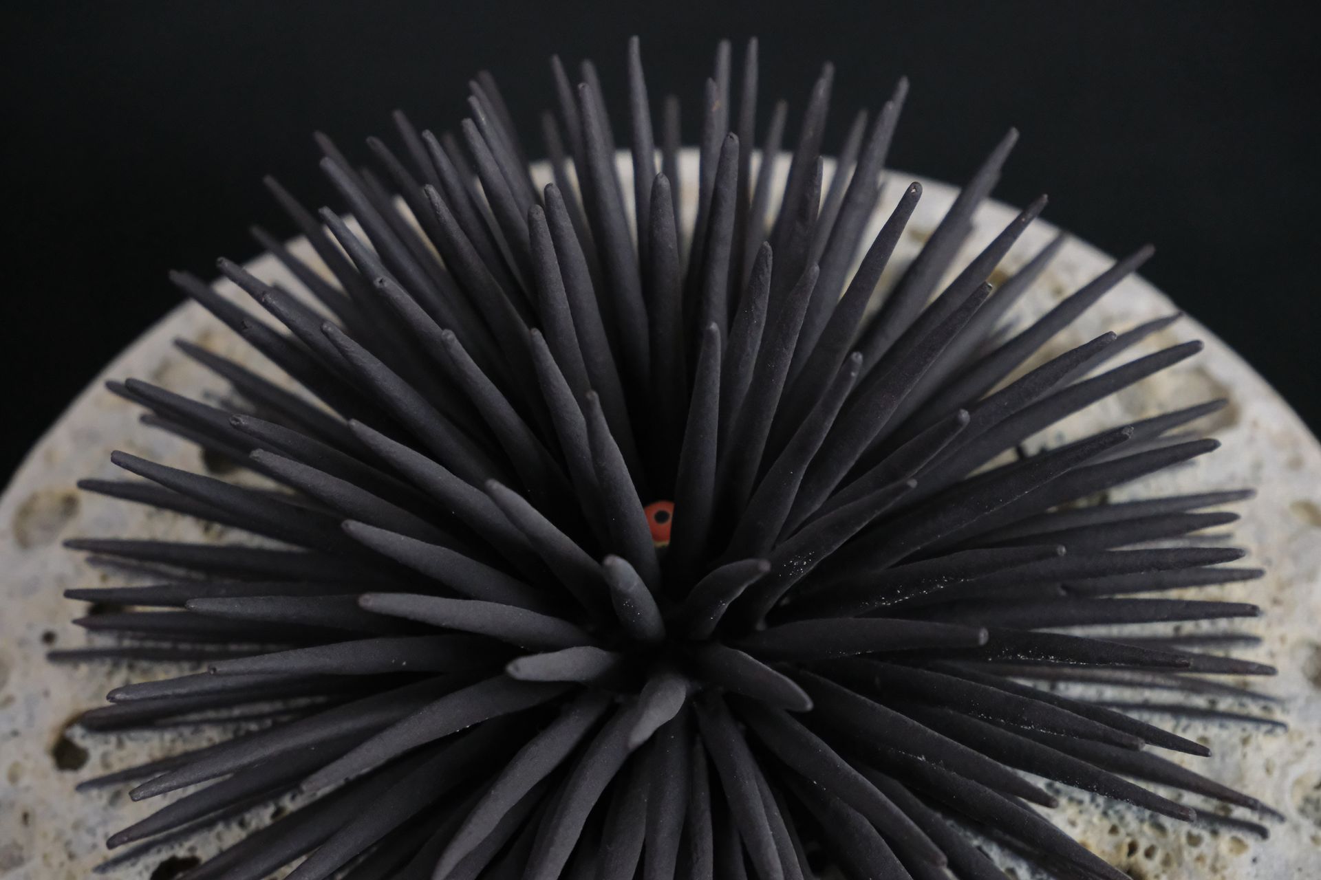 Tucusito Studio Marine Collection