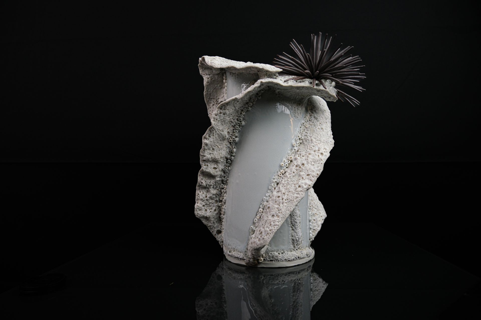 Tucusito Studio Marine Collection