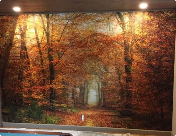 A wall with a picture of a forest in autumn
