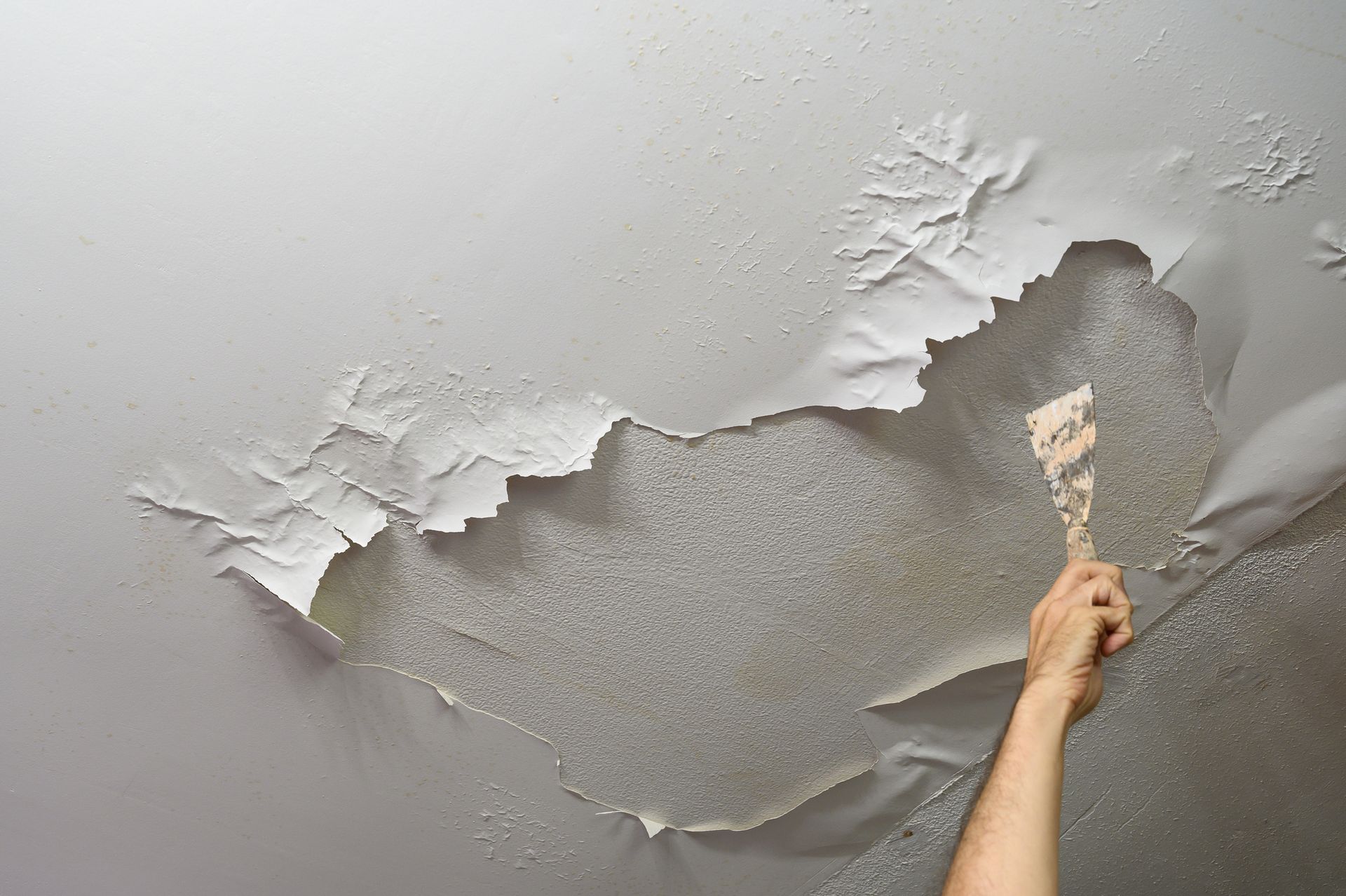 Hand scrapes peeling ceiling paint, revealing water-damaged surface.