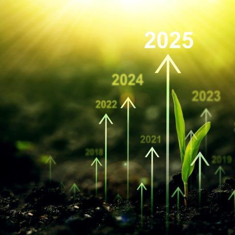 Arrows pointing upward from soil with dates, representing growth and the year 2025. Sun in the background.