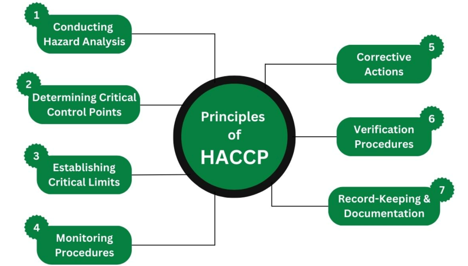 Diagram illustrating the seven principles of HACCP: hazard analysis, CCPs, limits, monitoring, actions, verification
