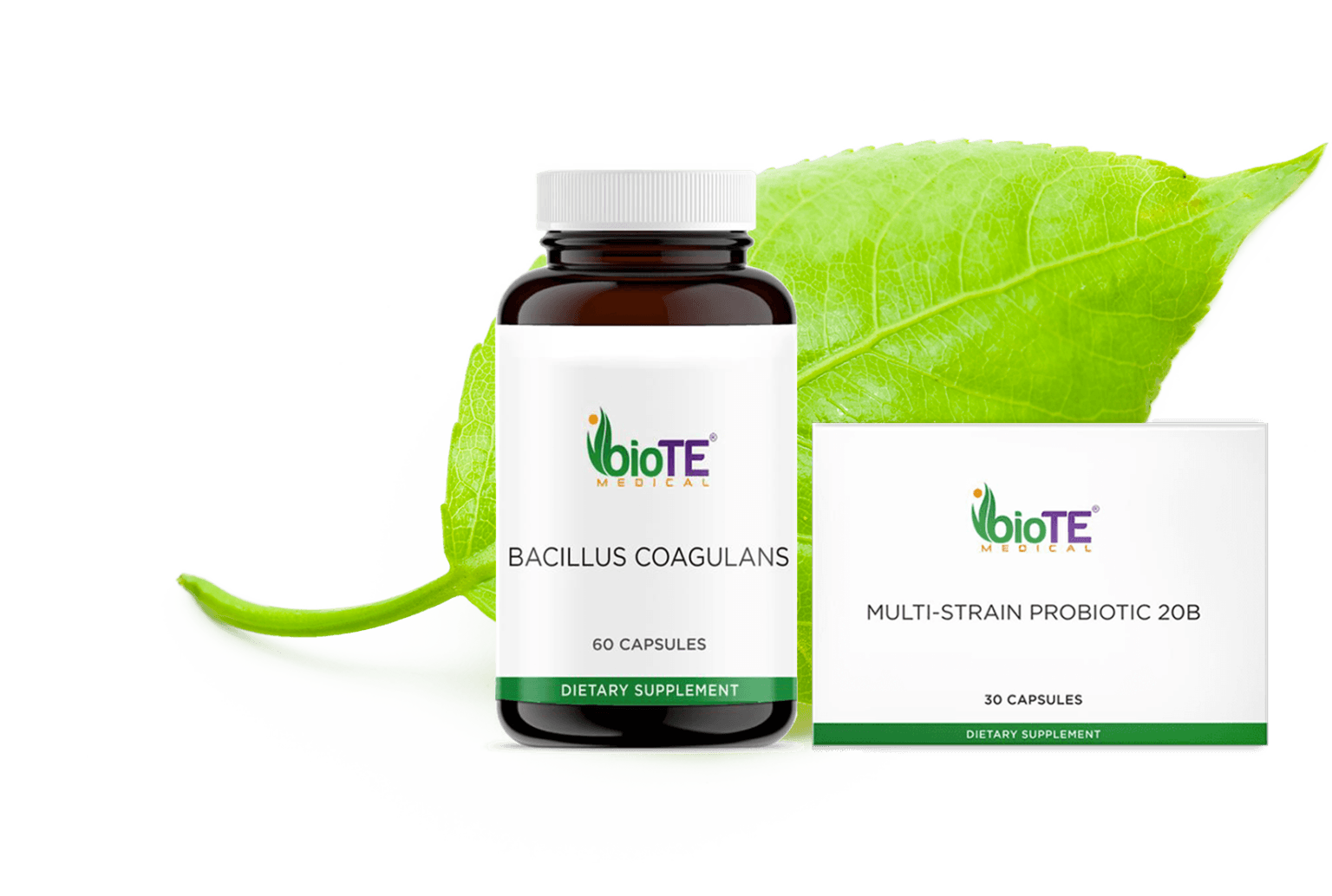 A bottle of biote bacillus coagulans is sitting next to a green leaf.