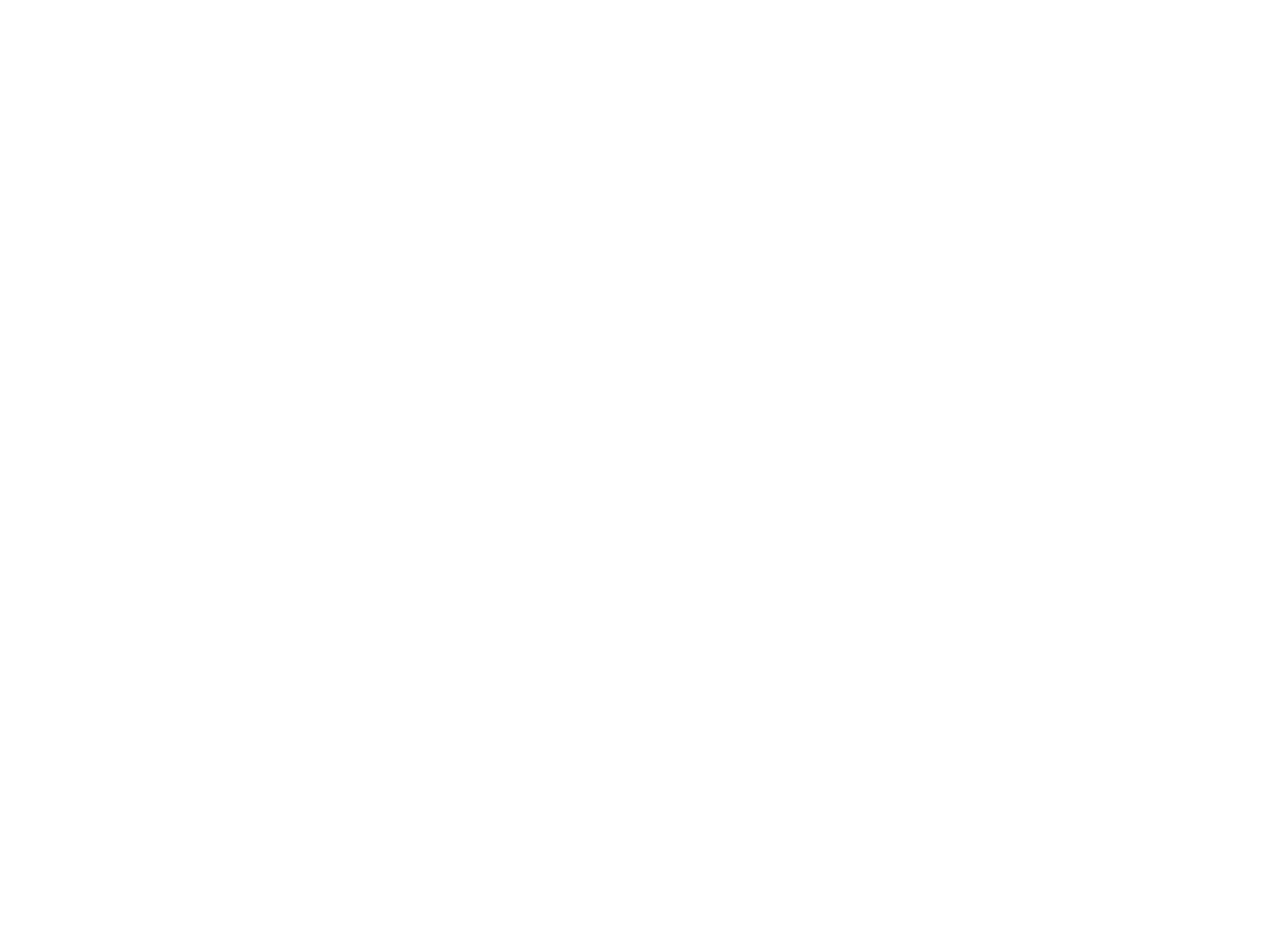 The CrossFit Willis gym logo on a transparent background