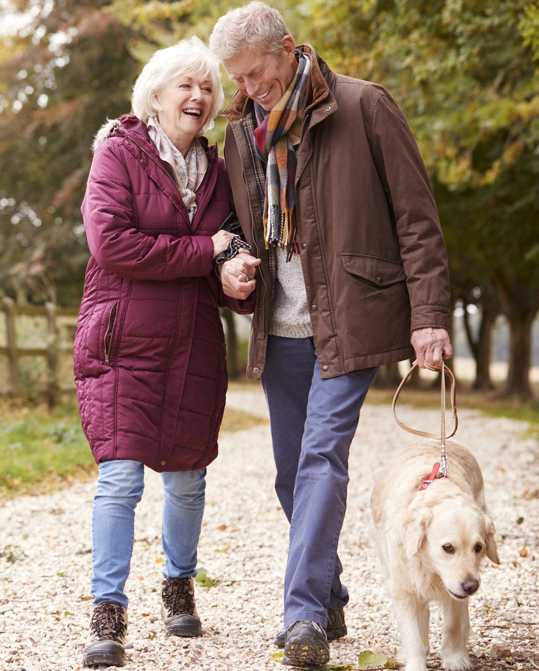 Diabetes — Happy Couple Walking with Dog in Chantilly, VA