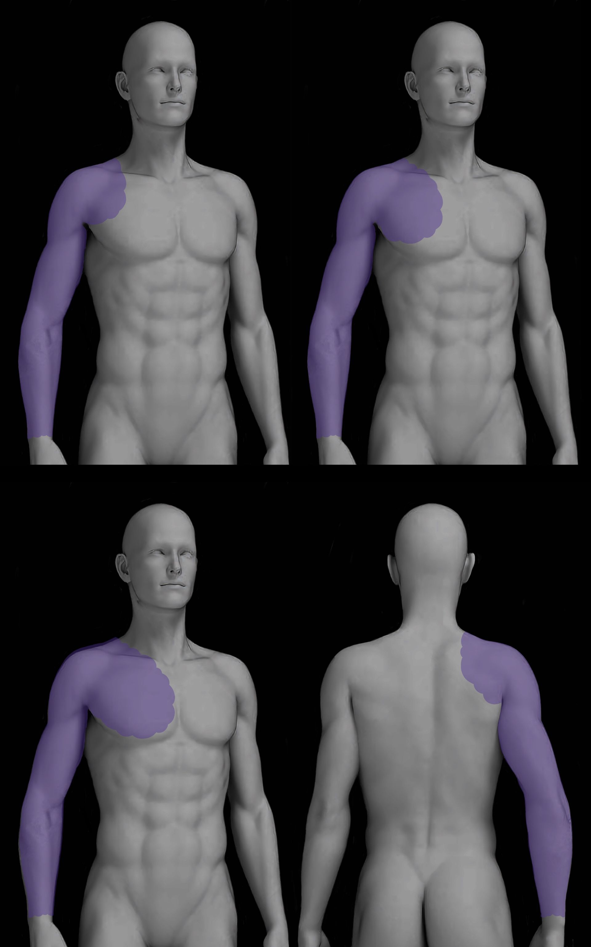 A 3d model of a man 's chest and arm