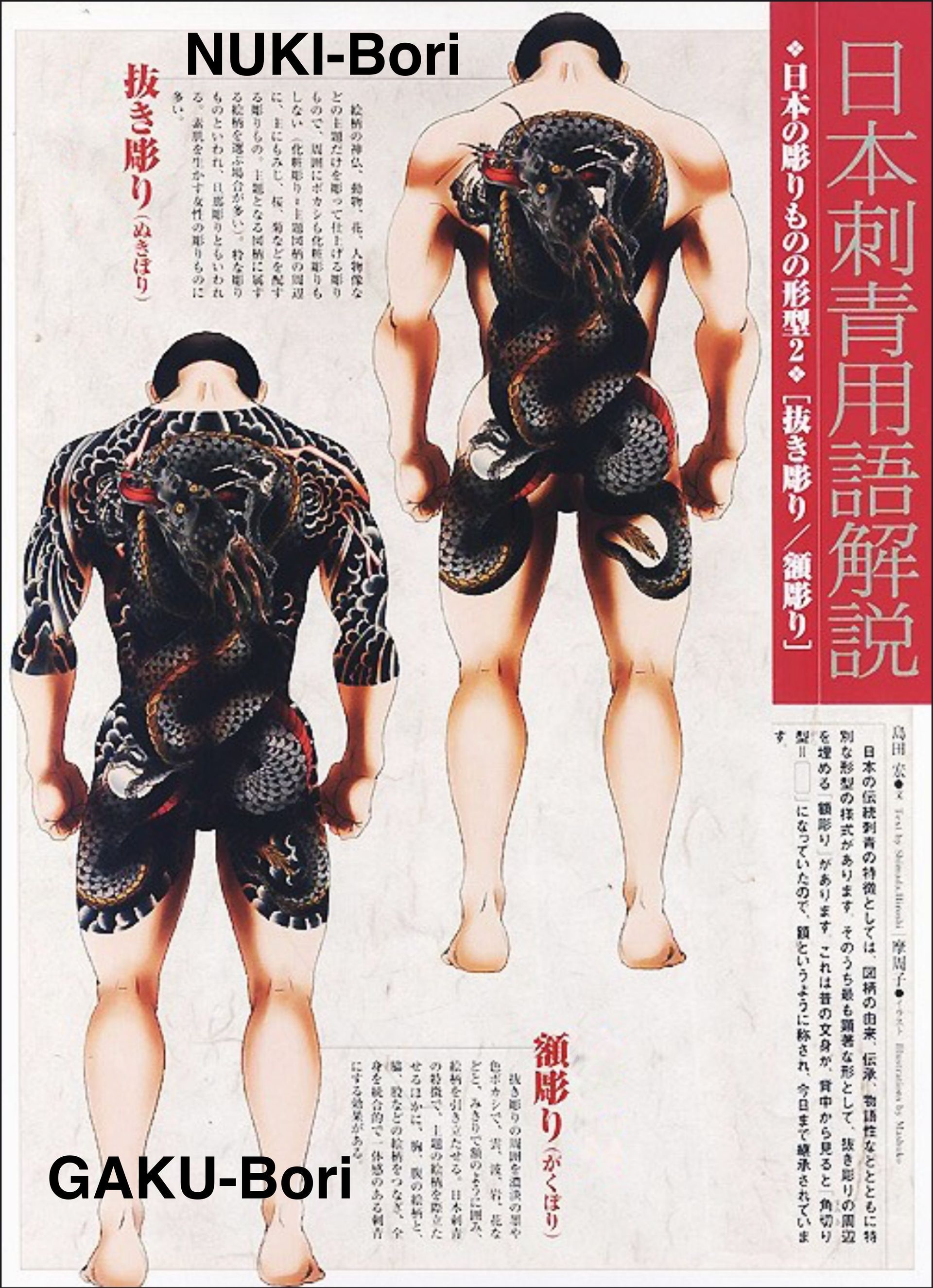 A picture of a man with a tattoo on his back