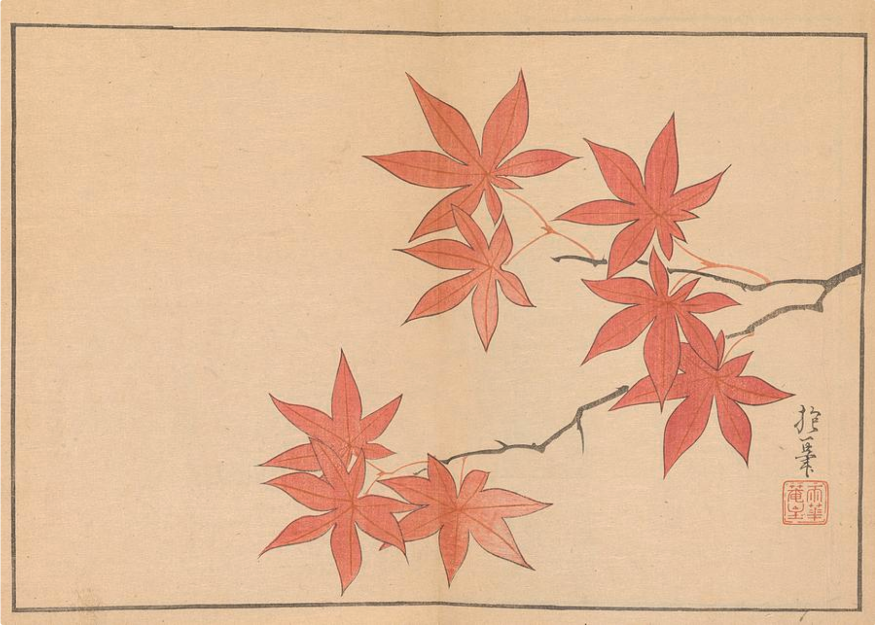 Maple by Sakai Hōitsu (1761-1828)