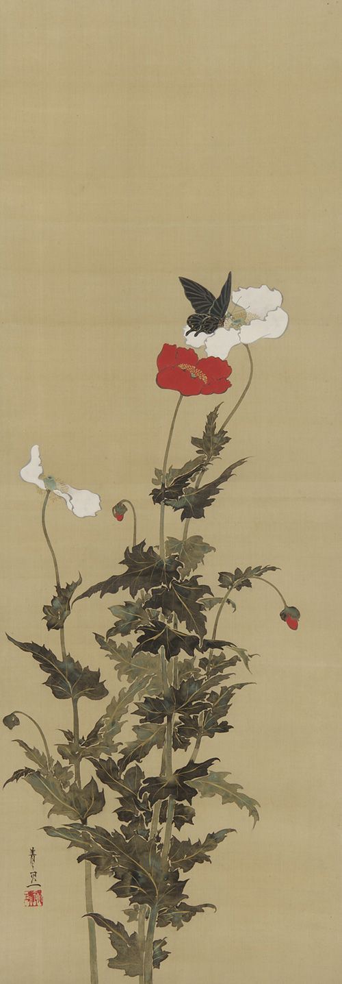 Poppies+and+Butterfly+by+Suzuki+Kiitsu