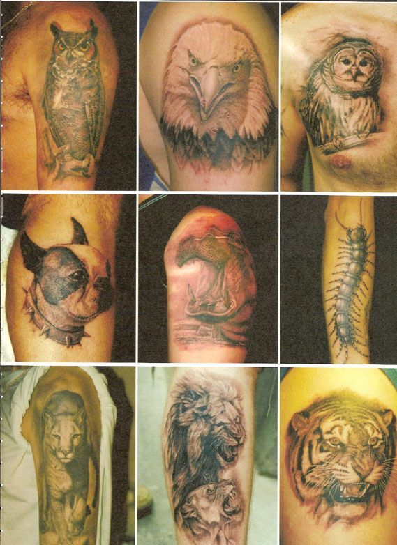 A collage of tattoos including an owl a tiger and a centipede