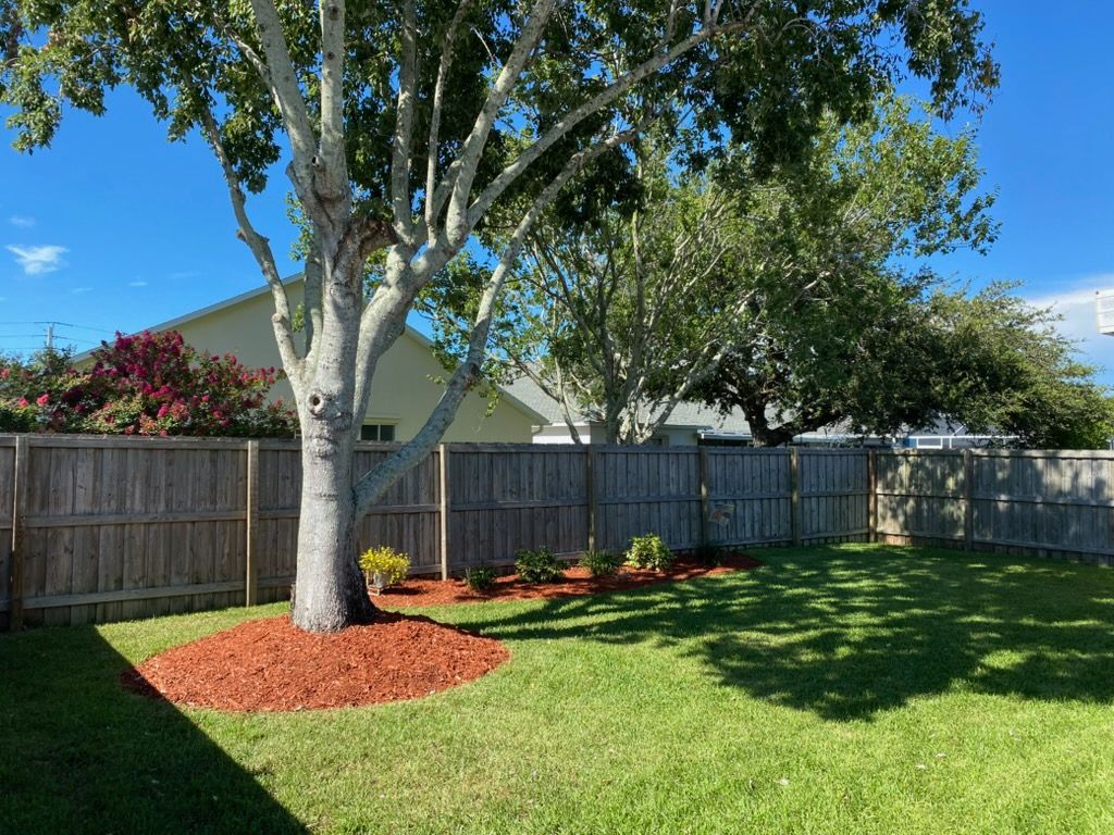 Backyard with a large tree, green lawn, wooden fence, and red mulch under a blue sky