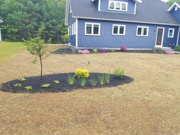 A blue house with a landscaped yard featuring an oval garden bed with small plants and a larger bed against the foundation.