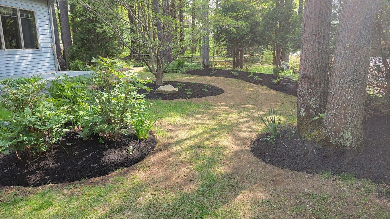 A garden pathway winds through a grassy lawn between tree trunks and mulch-filled planting beds in a shaded yard.