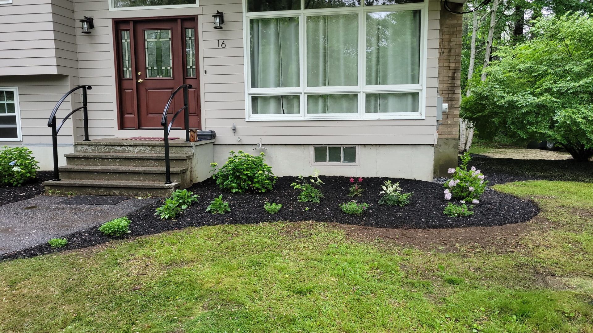 A house exterior featuring a brown front door, concrete steps with black railings, and a mulched garden bed with shrubs.