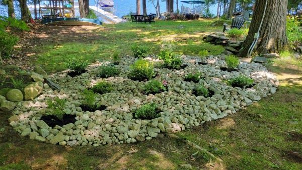A rock garden with small green plants set in a grassy yard, with a lake and trees in the background.