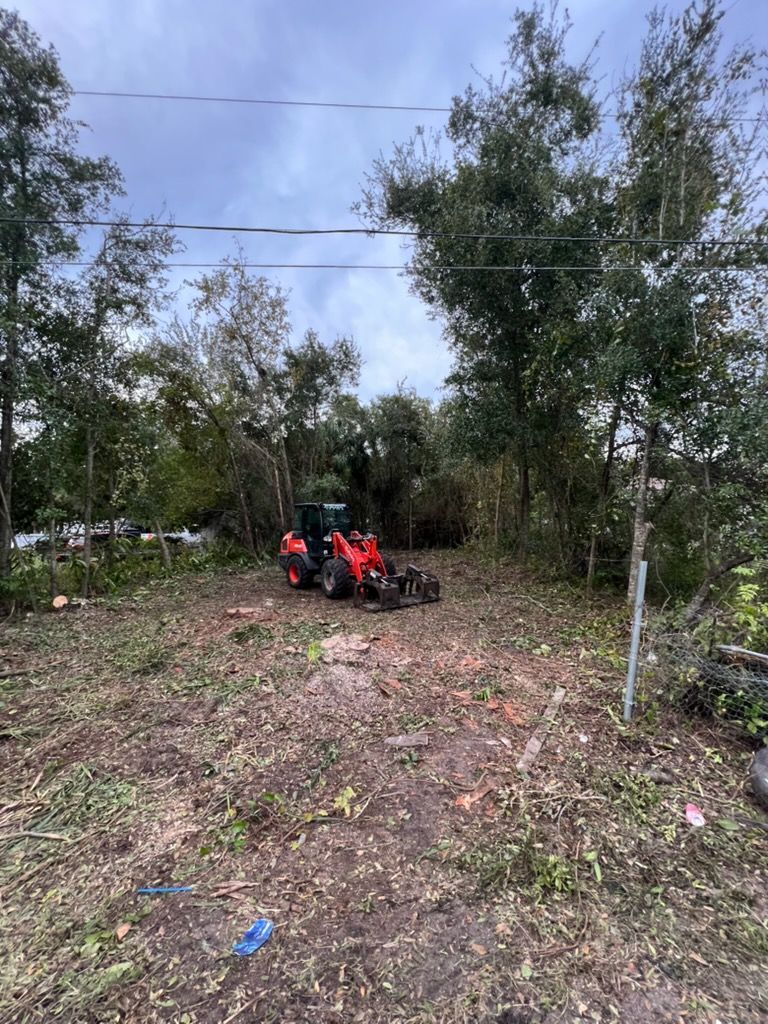 Red tractor in a grassy, wooded clearing under power lines