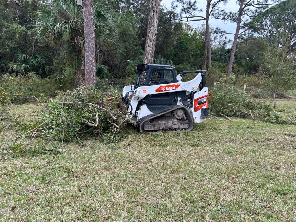 White-and-red skid steer clearing brush in a grassy wooded area
