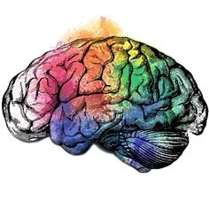 A colorful, watercolor-style illustration of a human brain featuring a spectrum of vibrant hues.